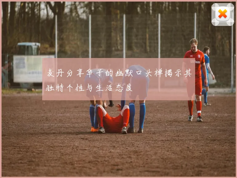 麦丹分享华子的幽默口头禅揭示其独特个性与生活态度