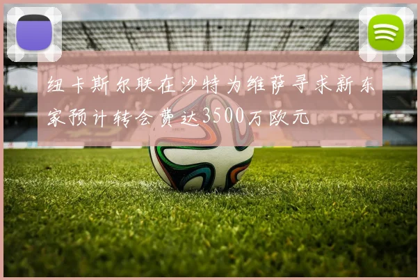 纽卡斯尔联在沙特为维萨寻求新东家预计转会费达3500万欧元